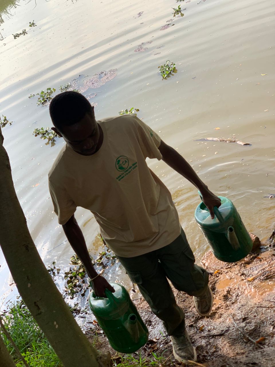 IMG-20250705-WA0136(1)